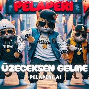 Üzeceksen Gelme