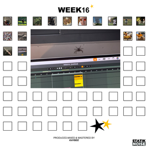WEEK13