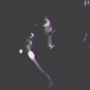 这个世界？？？？