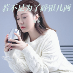 若不是为了碎银几两