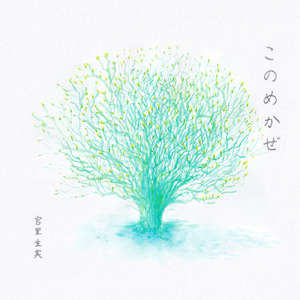 ぼくときみのものがたり