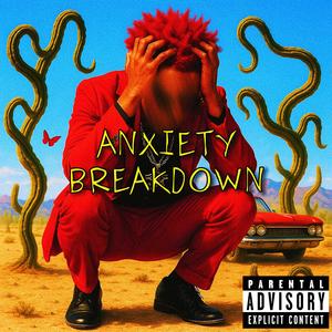 Anxiety Breakdown