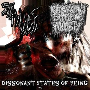 Flesh Taxidermy Experiment