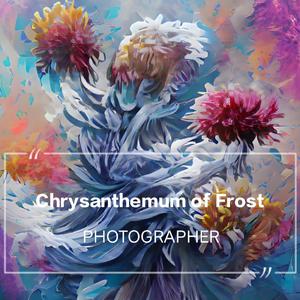 Chrysanthemum of Frost