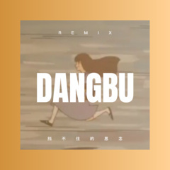 还是要继续好好的生活 (DJ版)