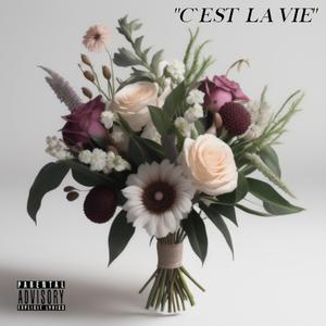 C´EST LA VIE