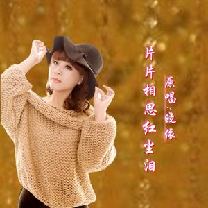 片片相思红尘泪DJ