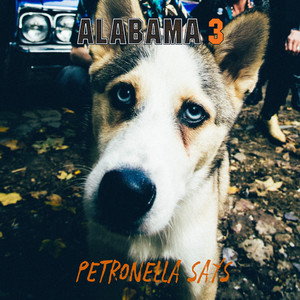 Petronella Says
