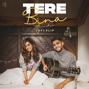 tere bina (Acoustic / Lofi Flip)