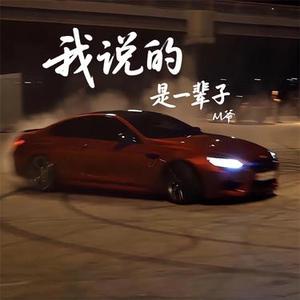 我说的是一辈子