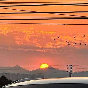 星空の眠夜（催眠曲钢琴）