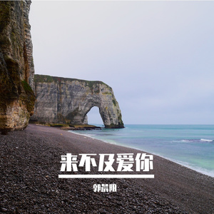 来不及爱你