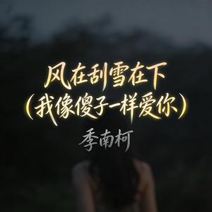 风在刮雪在下 (我像傻子一样爱你)