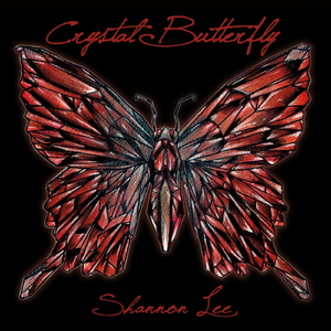 When the Music Fades