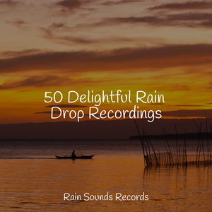 Birds in Dense Woods