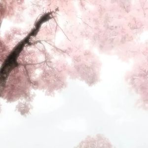 缠绵(prod by BECU BEATZ)