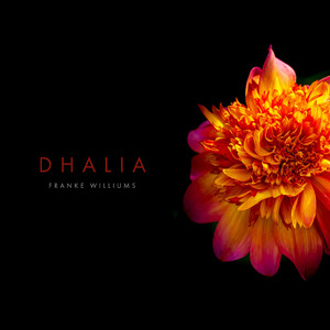 Dhalia