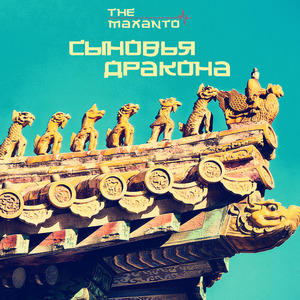 Королевский пингвин