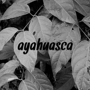 Ayahuasca