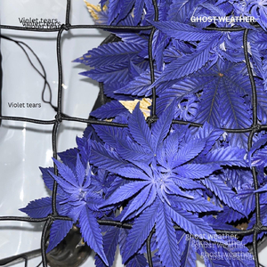 Violet Tears