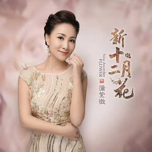 新十二月花(伴奏)