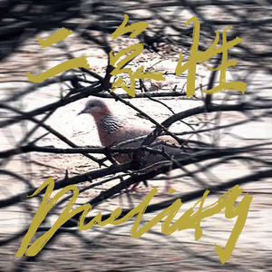 二象性 (Duality)（Instrumental）