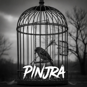 Pinjra