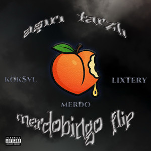 Aşırı Tarzlı (merdobingo flip)