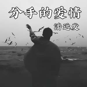 分手的爱情