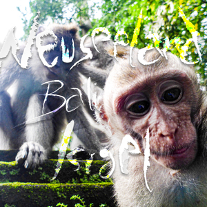Neuseeland, Bali, Israel (Single Edit)