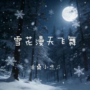 雪花漫天飞舞(故乡的雪你先别下)