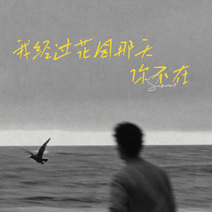 我经过花园那天，你不在