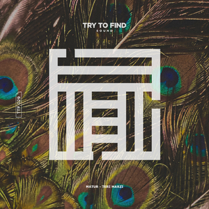 Teri Marzi (Extended Mix)