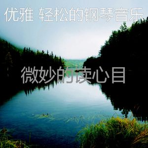 优美读器乐