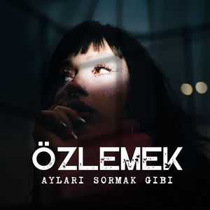Özlemek Ayları Sormak Gibi