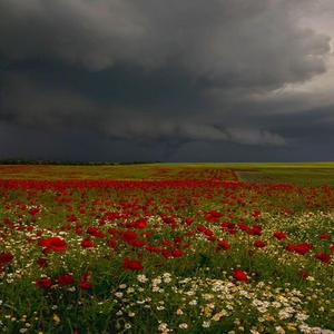 demon (feat. balenci)