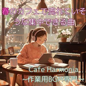 Cherry Blossom Boom - 桜の気分