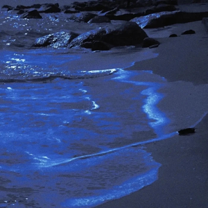 Unravel（东京喰种 ）