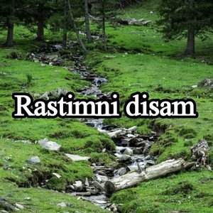 Rastimni Disam