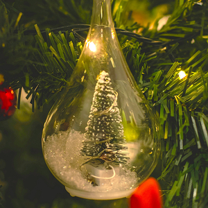 Frosty Nights, Lights