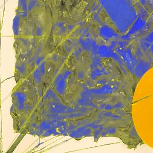 Fish in the spaceship