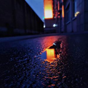 恋爱的犀牛（翻自 黄雨篱）