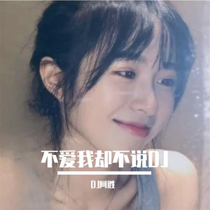 不爱我却不说DJ
