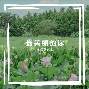 雨痕印在车窗上