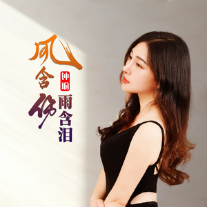 风含伤雨含泪(DJ版)（伴奏）