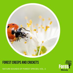 Notes Flicker Chorus