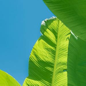 虎钤经要的机要