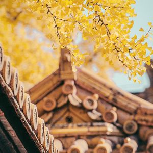 功夫KungFu Remix （Prod.tired）