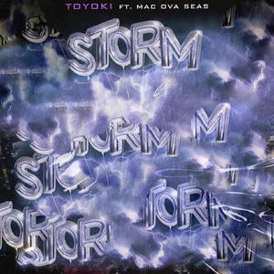 TOYOKI-暴雨（RANE / JY Bootleg）