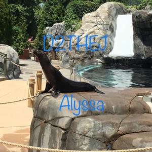 Alyssa (Instrumental)